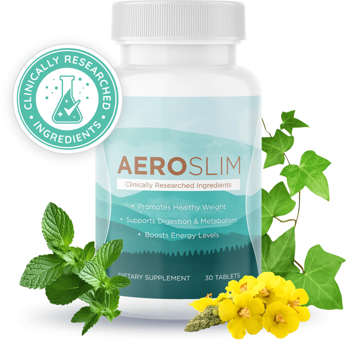 AeroSlim buy